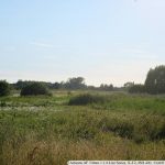 DSCF2667