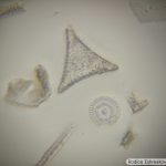 DSC00523-32