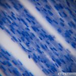 DSC00558-62