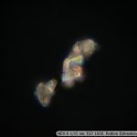 DSC00587