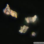 DSC00591-605