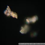 DSC00597