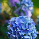 DSC04401