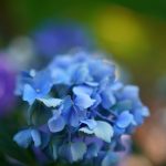 DSC04422