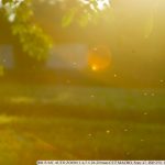 DSC04547