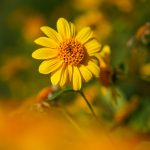 DSC04801