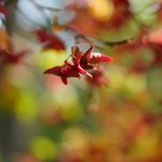 DSC05360