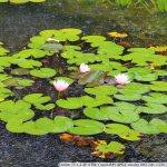 IMG_5847