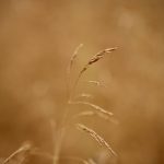 IMG_5984