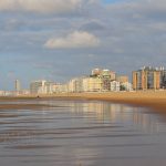 IMG_8486