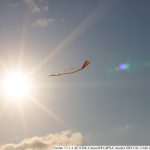 IMG_8887