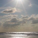 IMG_8915