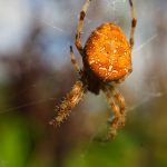 IMG_0502