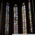 IMG_7773