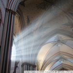IMG_7903