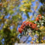 IMG_8027
