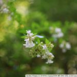 IMG_8331