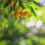 IMG_8376