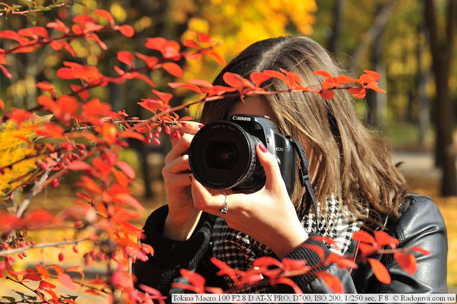 примеры фотографий никон