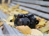 Фотографії на Canon EF-S 17-55mm f/2.8 IS USM