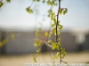 Homemade meat grinder bokeh