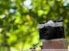 Nikon 100mm F2.8 Series E in full frame
