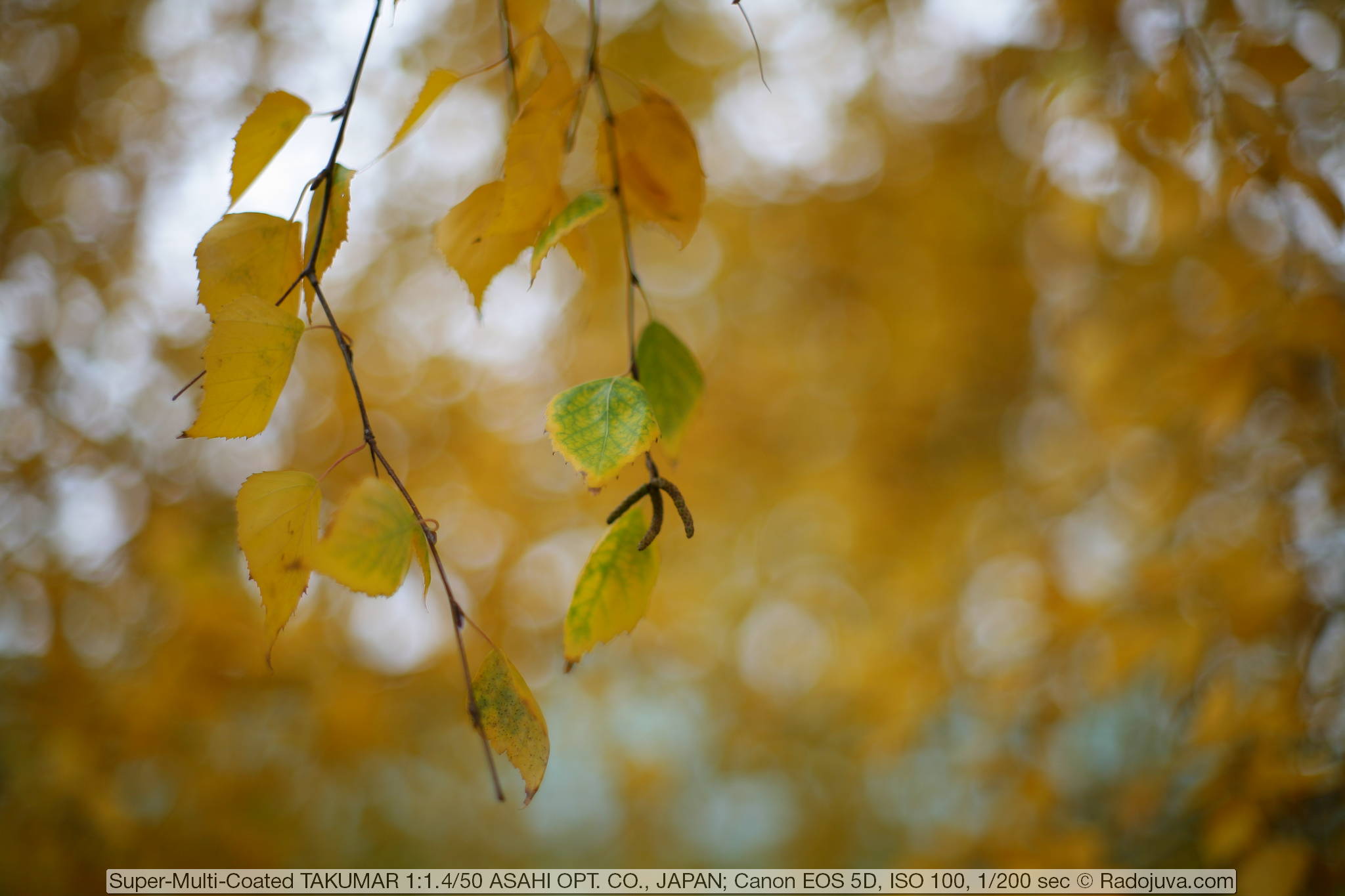 pentax super takumar 50 1.4