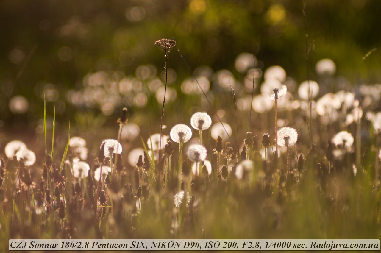 Review of Carl Zeiss Jena Sonnar 180 2.8 Pentacon Six. Examples of 