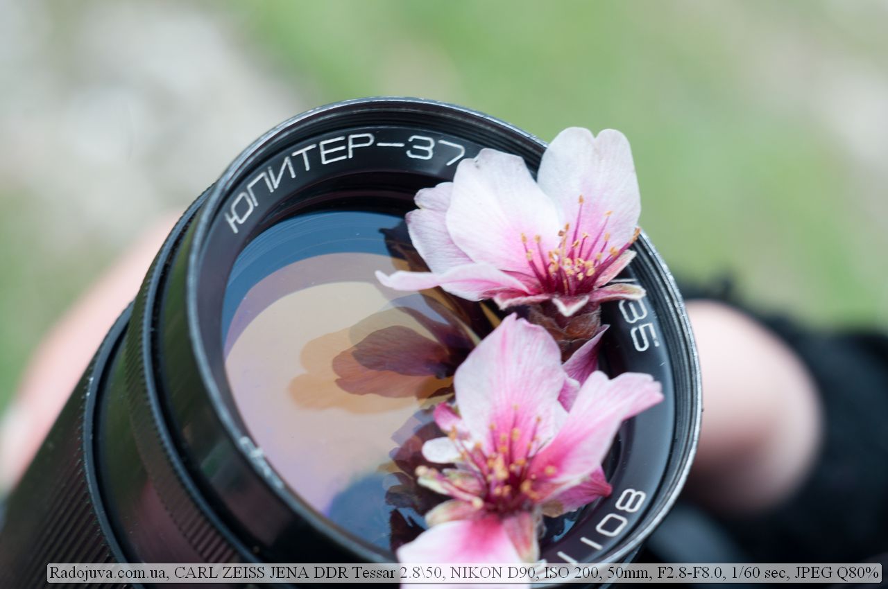 Review of Carl Zeiss Jena Tessar 2.8 / . Sample Photos and